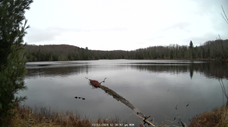Image from 2024-11-11