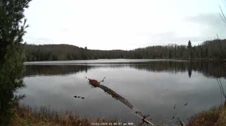 Image from 2024-11-11