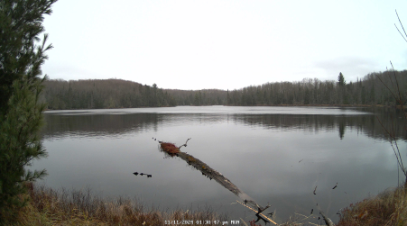 Image from 2024-11-11