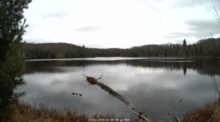 Image from 2024-11-11