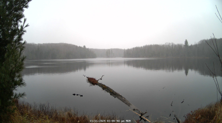 Image from 2024-11-11