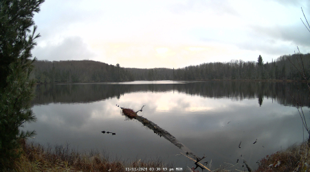 Image from 2024-11-11