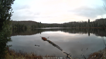Image from 2024-11-11