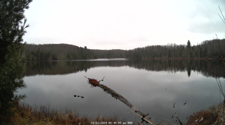 Image from 2024-11-11