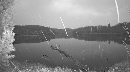 Image from 2024-11-11