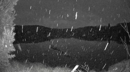 Image from 2024-11-11