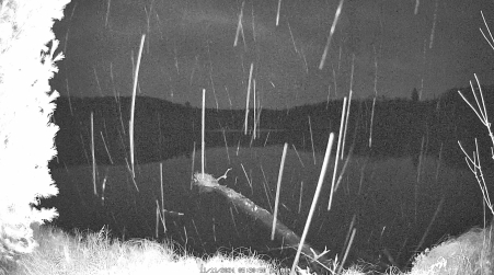 Image from 2024-11-11
