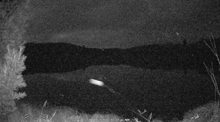 Image from 2024-11-11