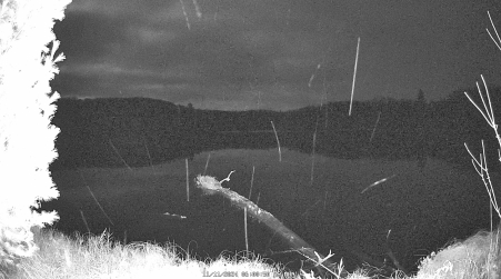 Image from 2024-11-11