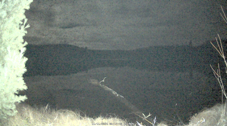 Image from 2024-11-11