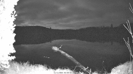 Image from 2024-11-11