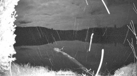 Image from 2024-11-11