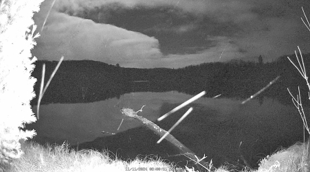 Image from 2024-11-11