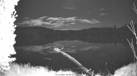 Image from 2024-11-11
