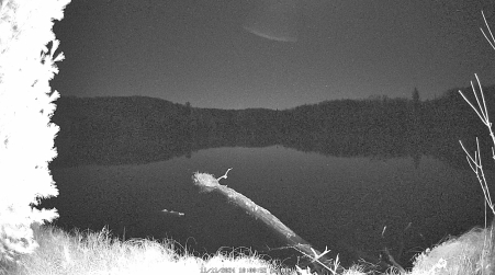 Image from 2024-11-11