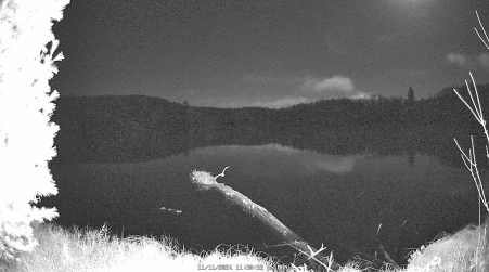 Image from 2024-11-11