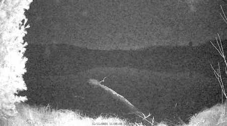 Image from 2024-11-11