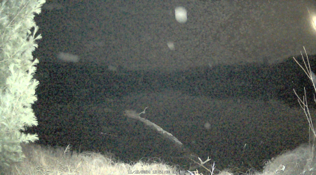 Image from 2024-11-12