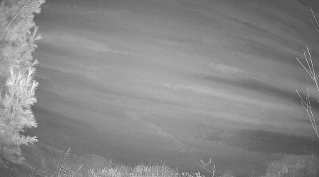 Image from 2024-11-12