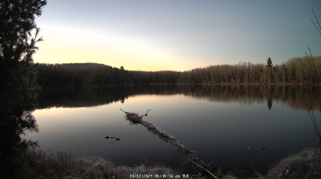 Image from 2024-11-12
