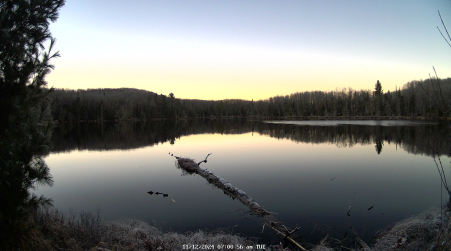 Image from 2024-11-12