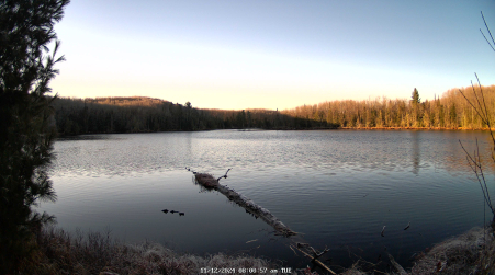 Image from 2024-11-12
