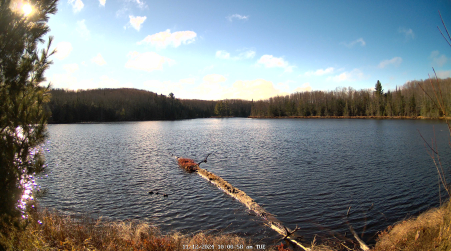 Image from 2024-11-12