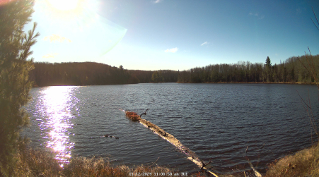 Image from 2024-11-12