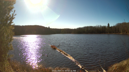 Image from 2024-11-12