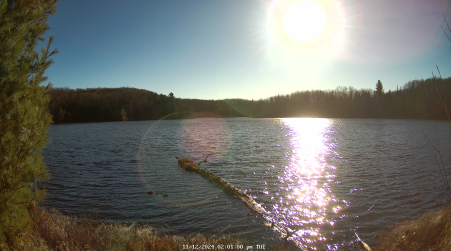 Image from 2024-11-12