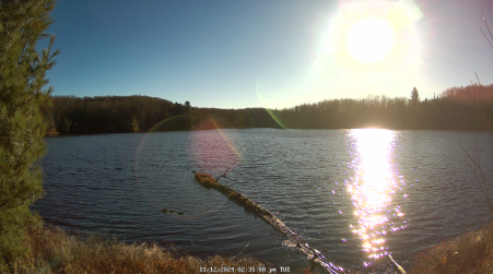 Image from 2024-11-12