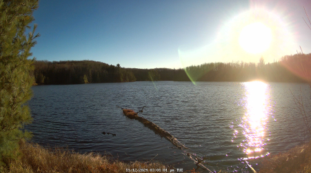 Image from 2024-11-12