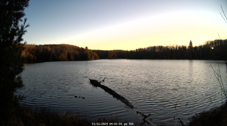 Image from 2024-11-12
