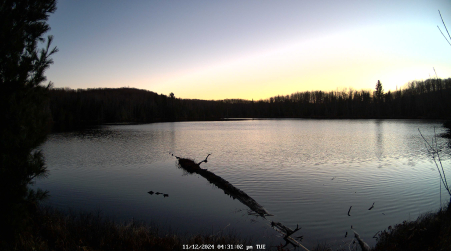 Image from 2024-11-12