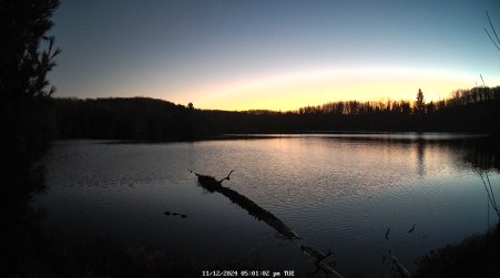 Image from 2024-11-12