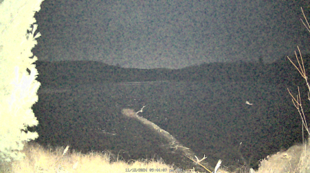 Image from 2024-11-12
