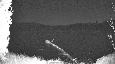 Image from 2024-11-13
