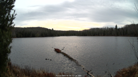 Image from 2024-11-13