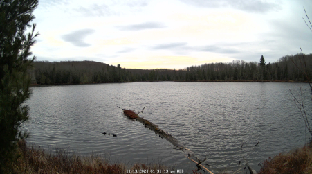 Image from 2024-11-13