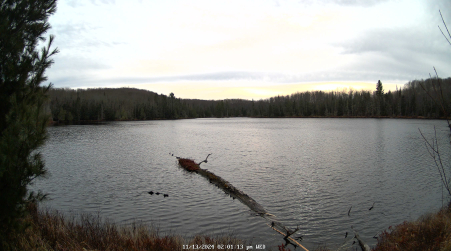 Image from 2024-11-13
