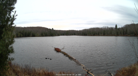 Image from 2024-11-13