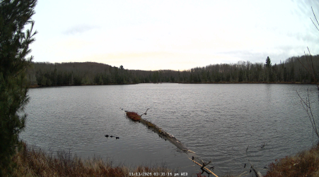 Image from 2024-11-13
