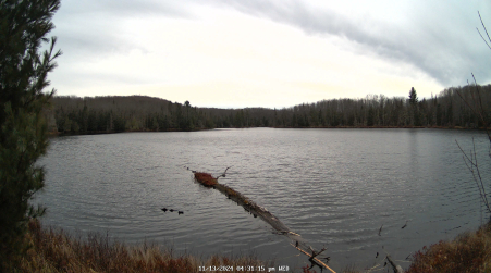 Image from 2024-11-13