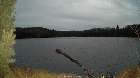 Image from 2024-11-13