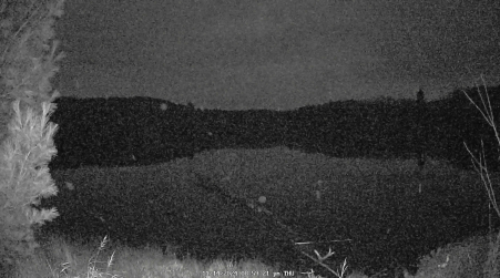 Image from 2024-11-14