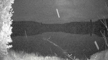 Image from 2024-11-14