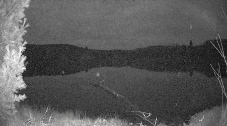 Image from 2024-11-15