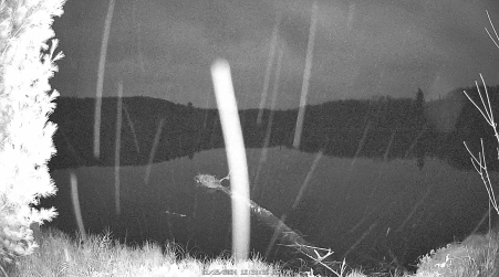 Image from 2024-11-15