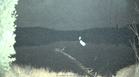Image from 2024-11-15