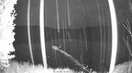 Image from 2024-11-15